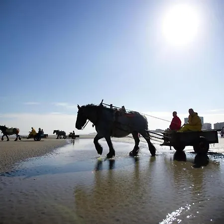 Apartment Near Port With Sun Terrace *