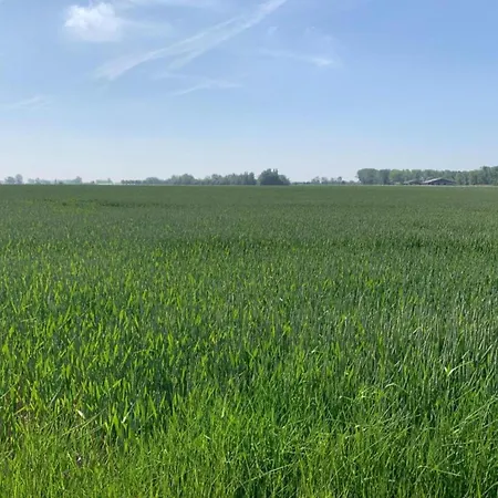 Near Port With Sun Terrace Nieuwpoort